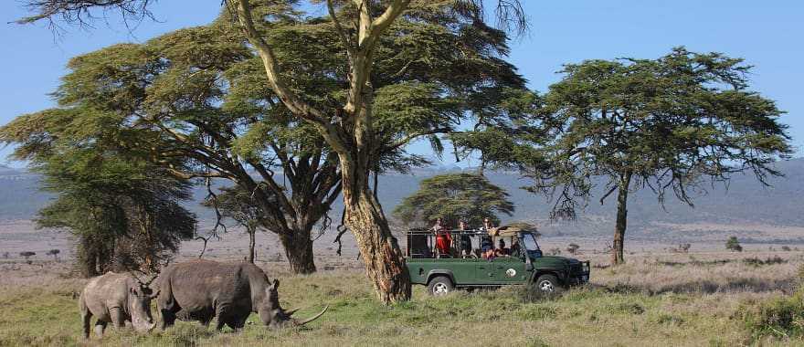 Sirikoi game dive at Lewa Conservancy, Kenya