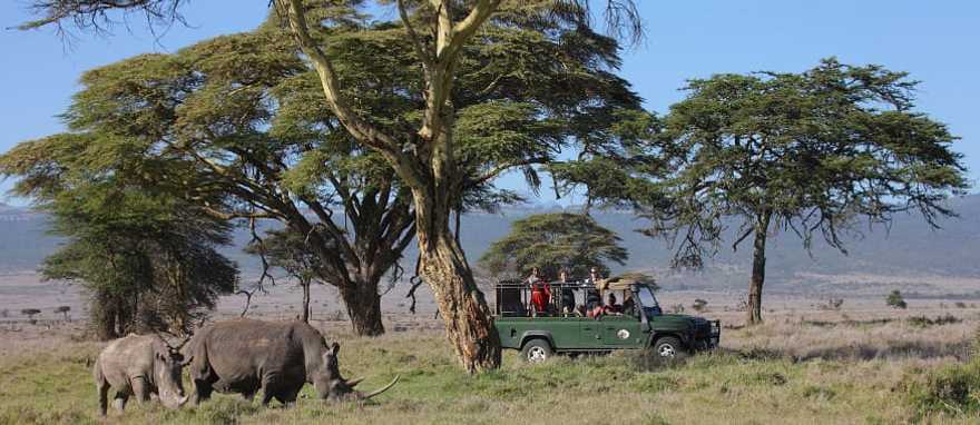 Sirikoi game dive at Lewa Conservancy, Kenya