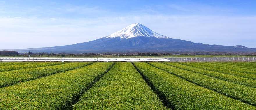 The Shinkansen (Bullet train) with Mt. Fuji in the background