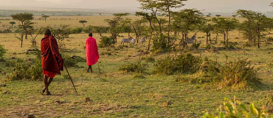 Immerse yourself in the beauty of the grassy shroud of the Masai Mara Game Reserve, Kenya
